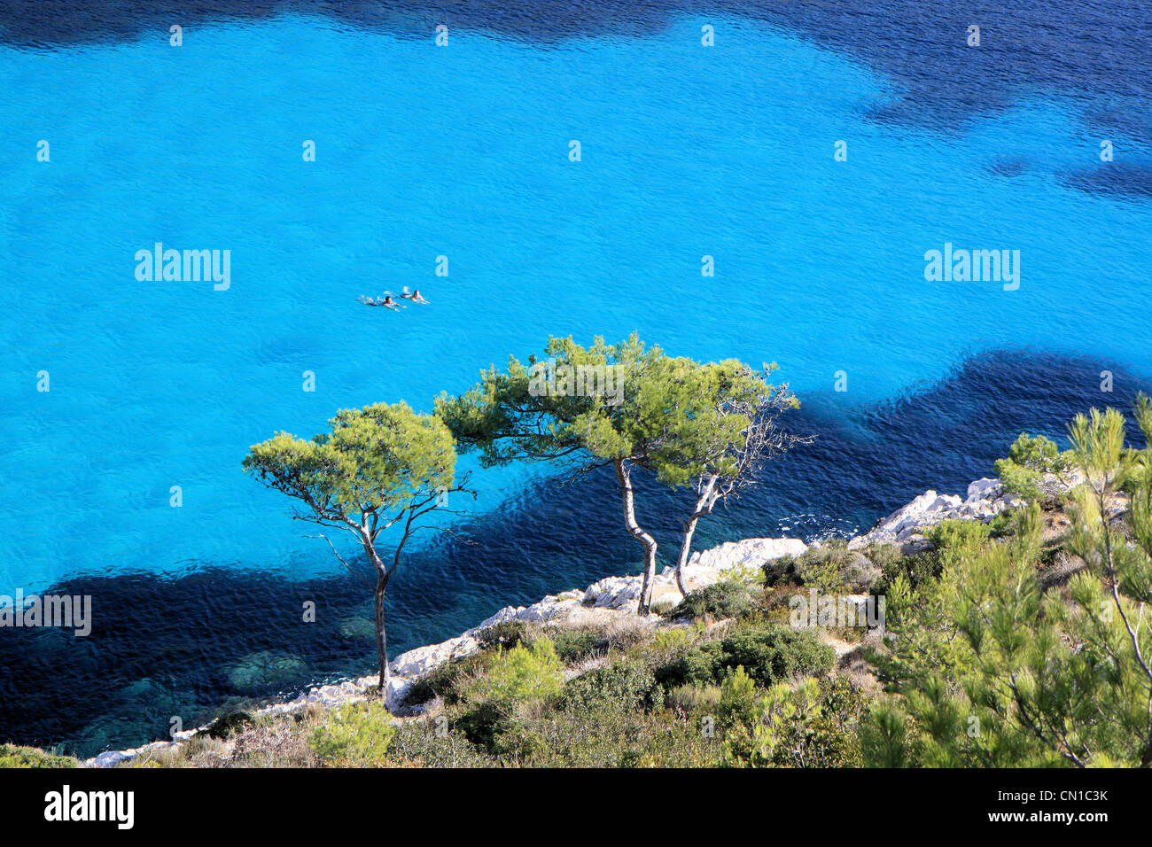 People swimming in Calanques, Marseille, Provence, France Stock Photo