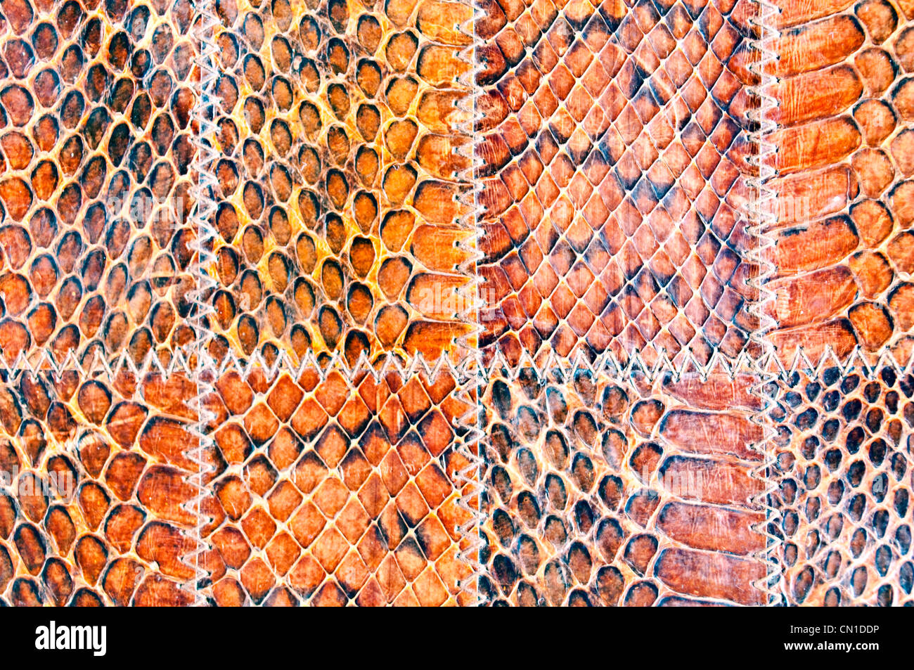 Snake leather texture Stock Photo