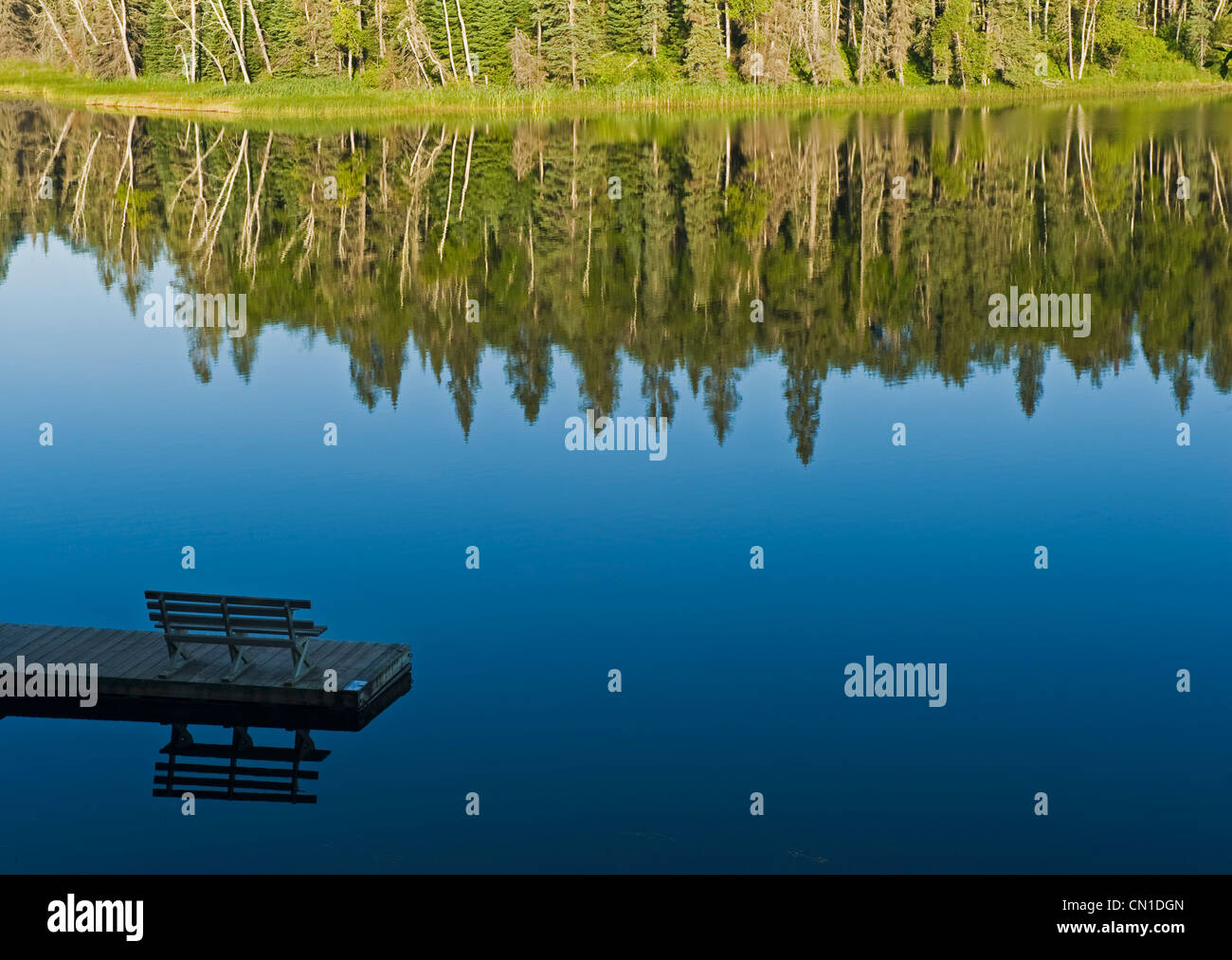Bench on a dock and trees reflected in water, Two Mile Lake, Duck Mountain Provincial Park, Manitoba Stock Photo