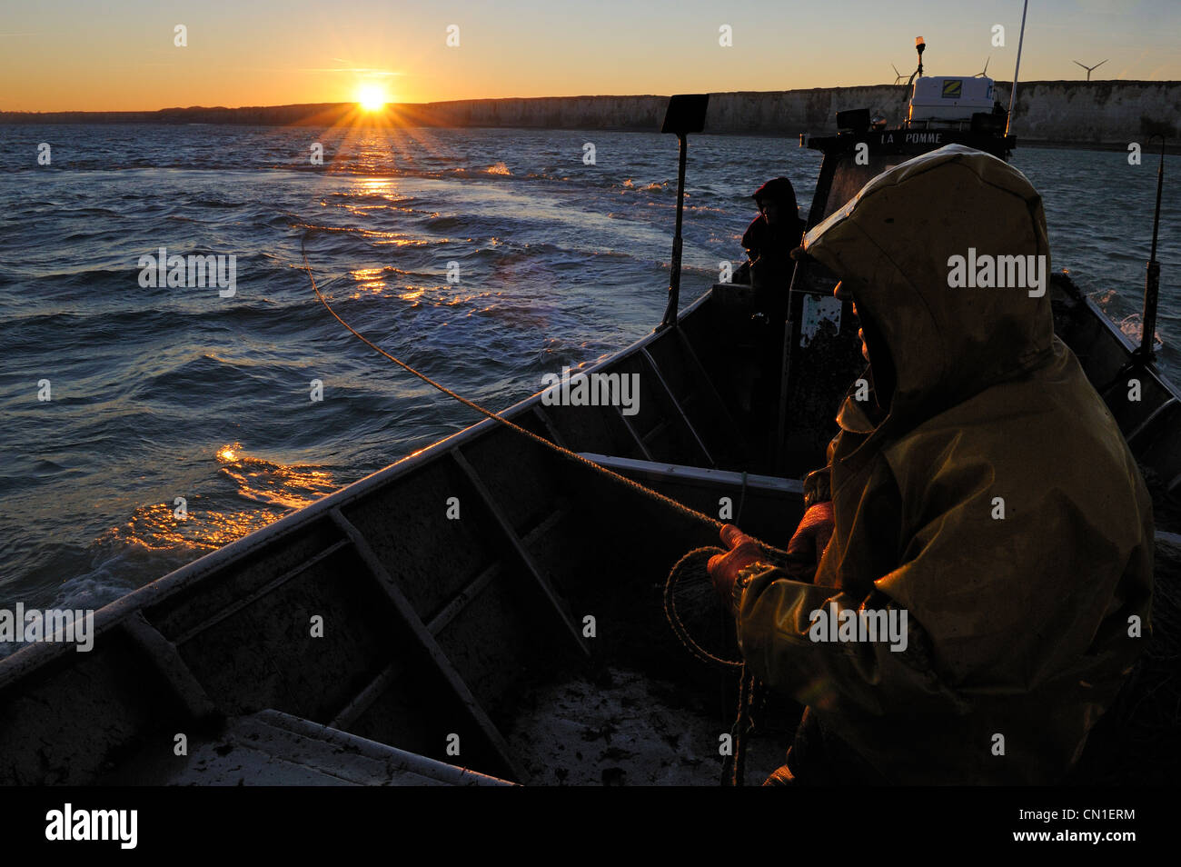 France, Seine Maritime, off the coast of Veules les Roses at dawn, net fishing on the boat La Pomme owned by Anthony Paumier Stock Photo
