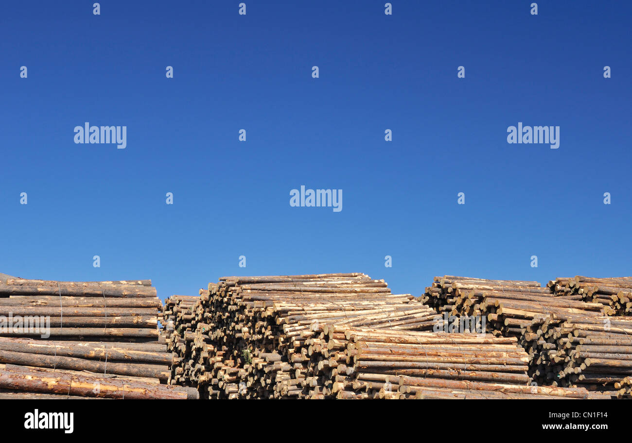Stockpile Of Cut Logs At A Lumber Mill Kamloops British Columbia
