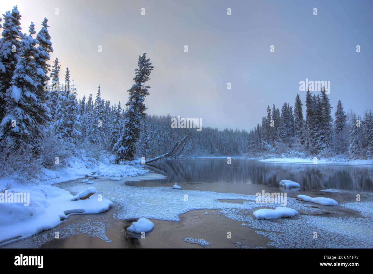 Morley River in winter near Teslin, Yukon Stock Photo