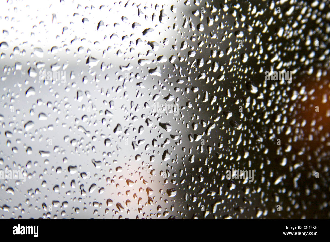 Rain Drops on Window Stock Photo