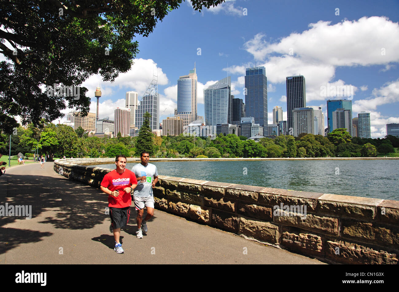 Runners on walkway by  Royal Botanic Gardens, Farm Cove, Sydney, New South Wales, Australia Stock Photo