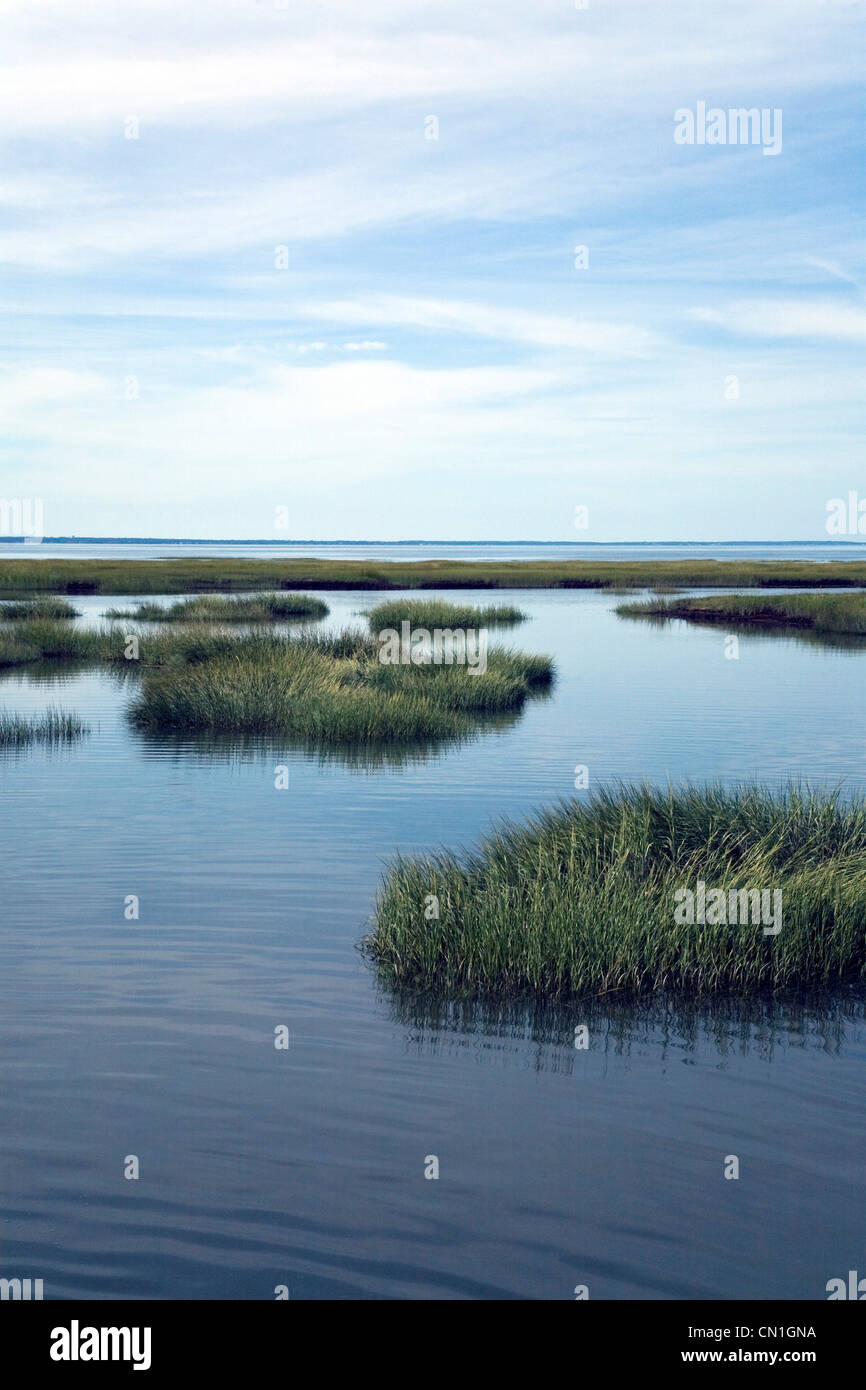 Lt Water Stock Photos & Lt Water Stock Images - Alamy