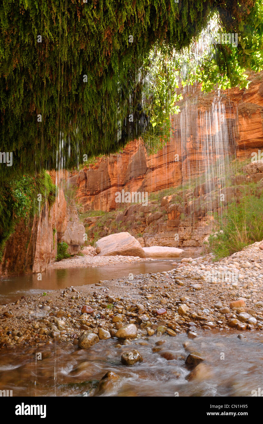 The waters of Showerbath Spring falling into Kanab Creek, Grand Canyon National Park, Arizona. Stock Photo