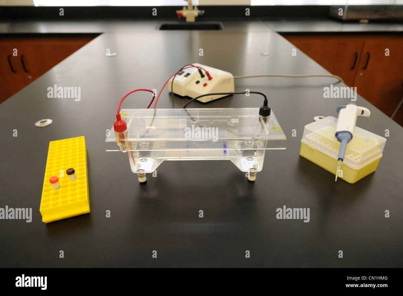 Gel electrophoresis dna hires stock photography and images Alamy