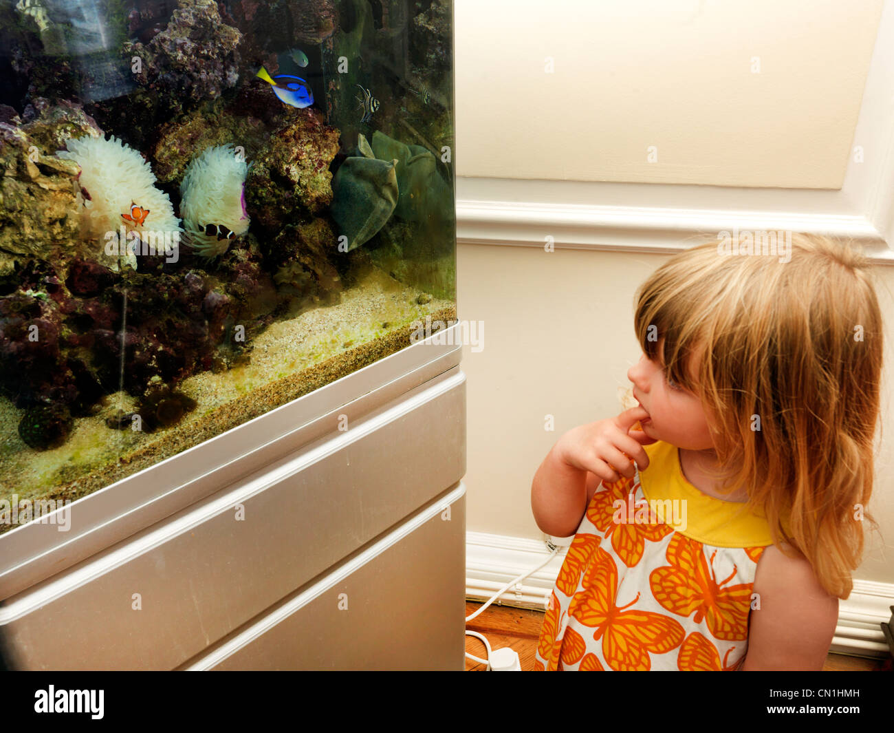 Young Girl Looking At Fish In Saltwater Fish Tank Stock Photo