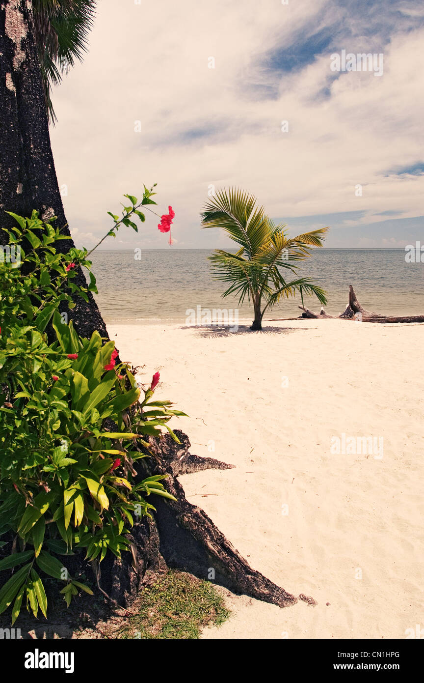 Playa Blanca, a white sand beach Stock Photo