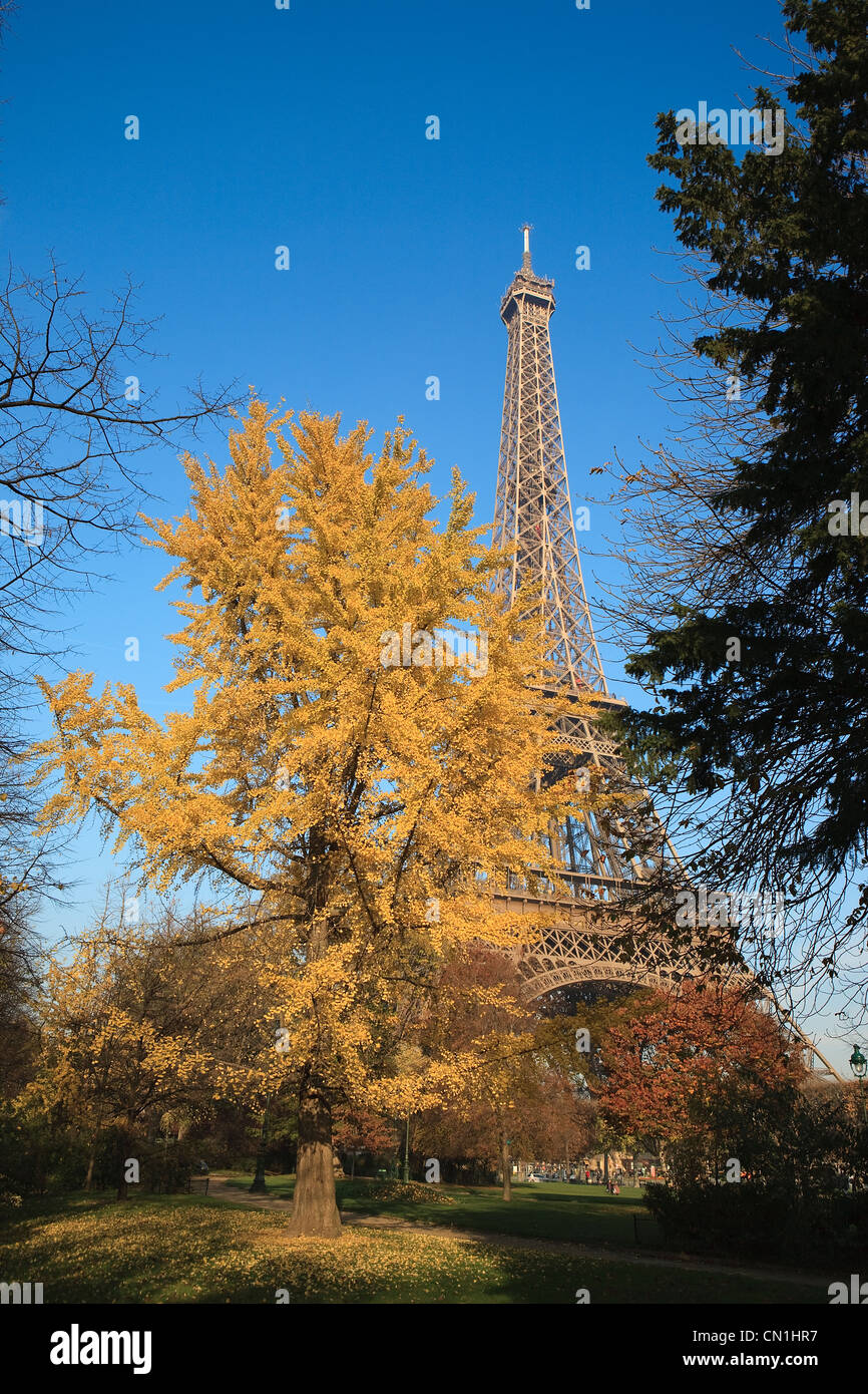 France Paris The Parc Du Champ De Mars And The Eiffel Tower Stock france-paris-the-parc-du-champ-de-mars-and-the-eiffel-tower-stock