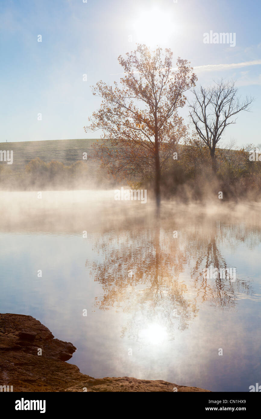 Sun in the fog hi-res stock photography and images - Alamy