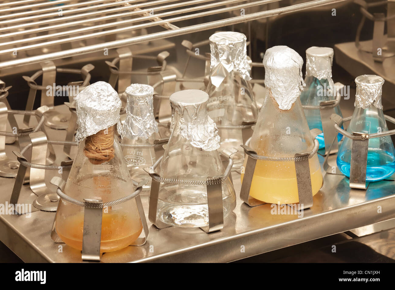 Laboratory Glassware Stock Photo