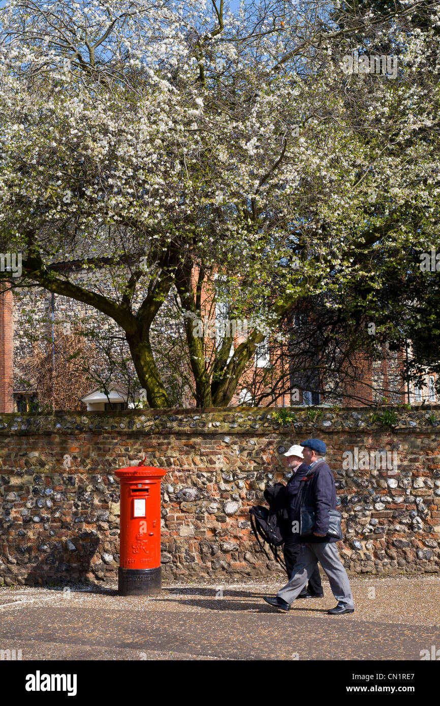 A VI pillar box in the Cathedral Close, Norwich, Norfolk, UK