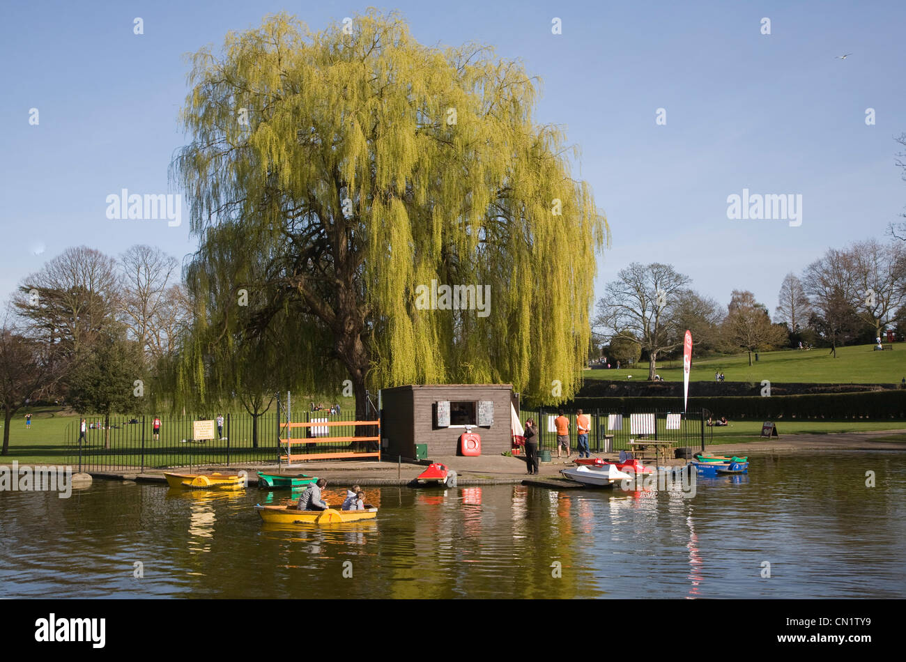 Castle Park boating pond, Colchester, Essex, England Stock Photo