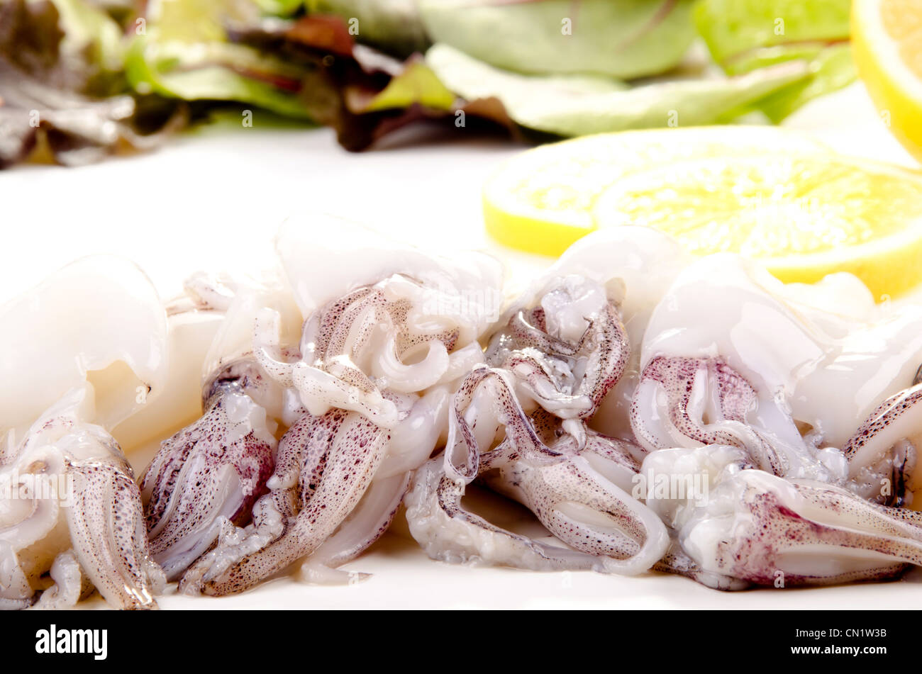 fresh squid before preparing as food Stock Photo - Alamy