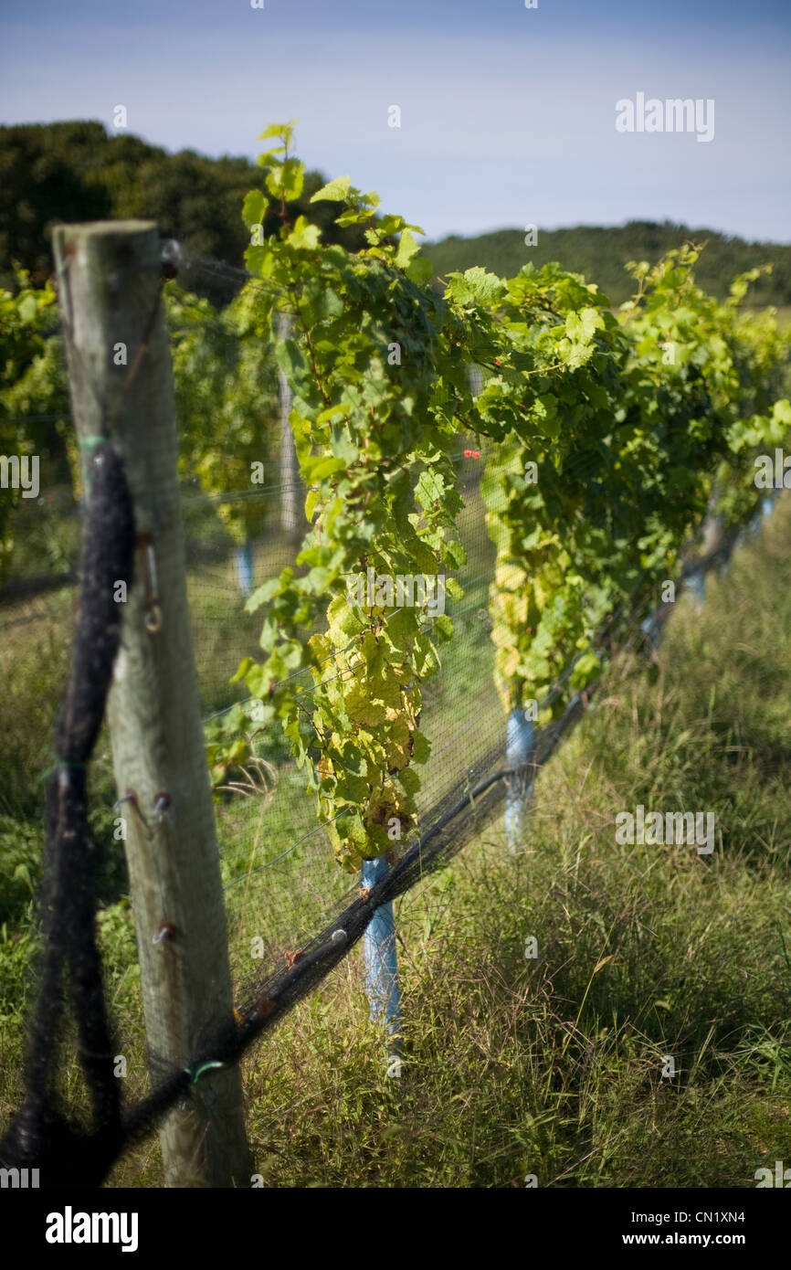 Long island usa hires stock photography and images Alamy