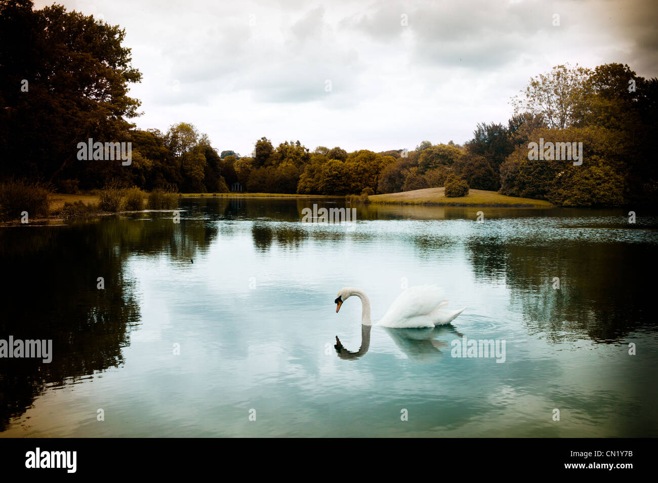 A lake scene surounded by trees Stock Photo