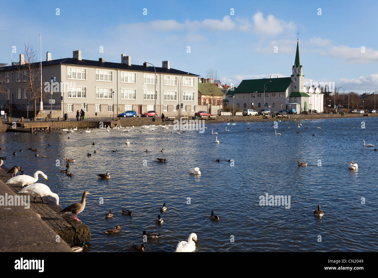 Reykjavik lake, Iceland Stock Photo