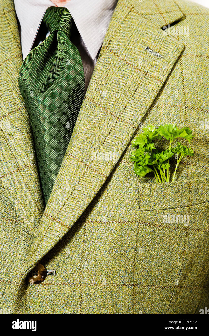 Green checked suit jacket with parsley in pocket Stock Photo