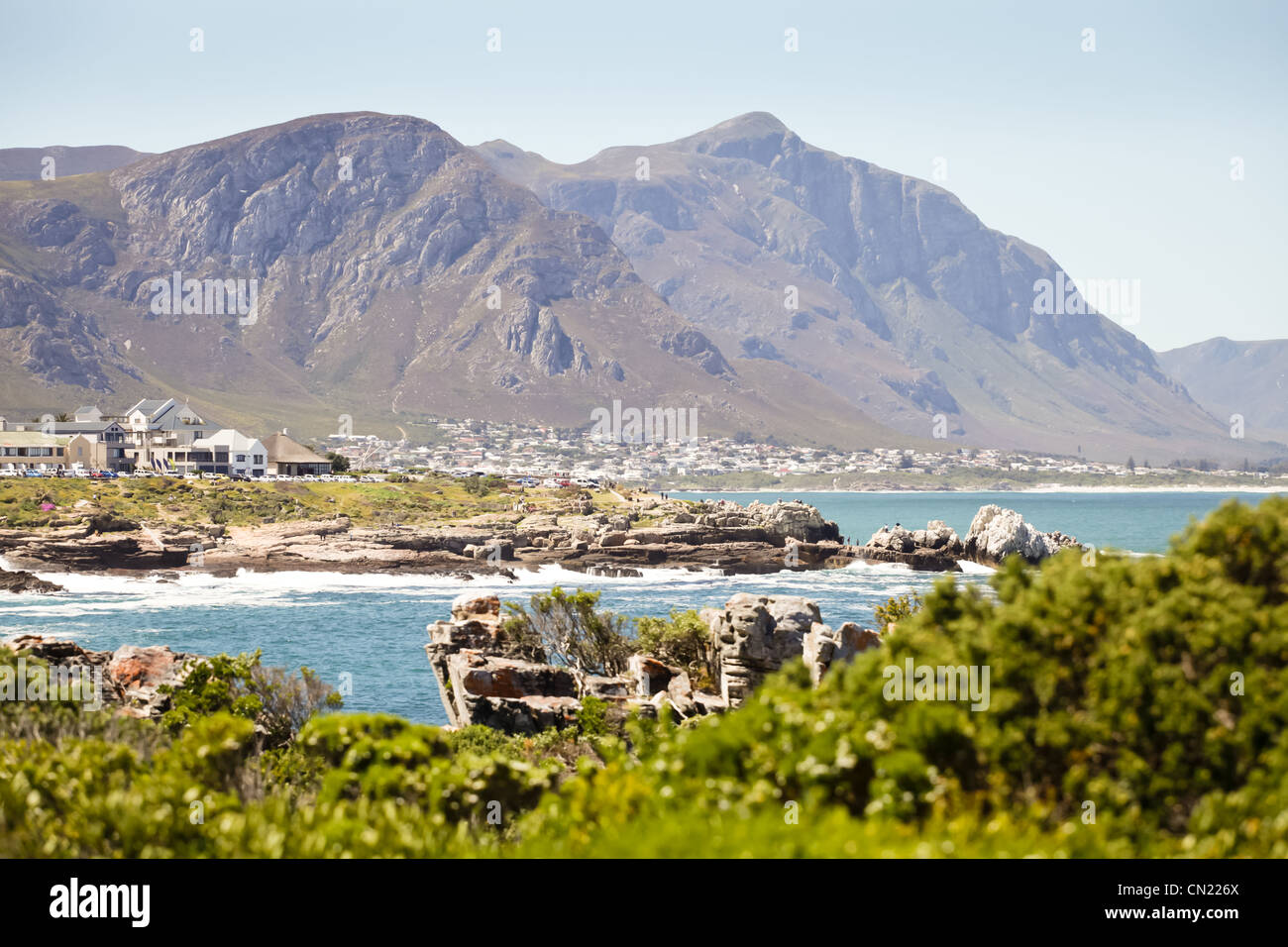 Coastline at Hermanus, near Cape Town, South Africa in the spring sunshine  Stock Photo - Alamy