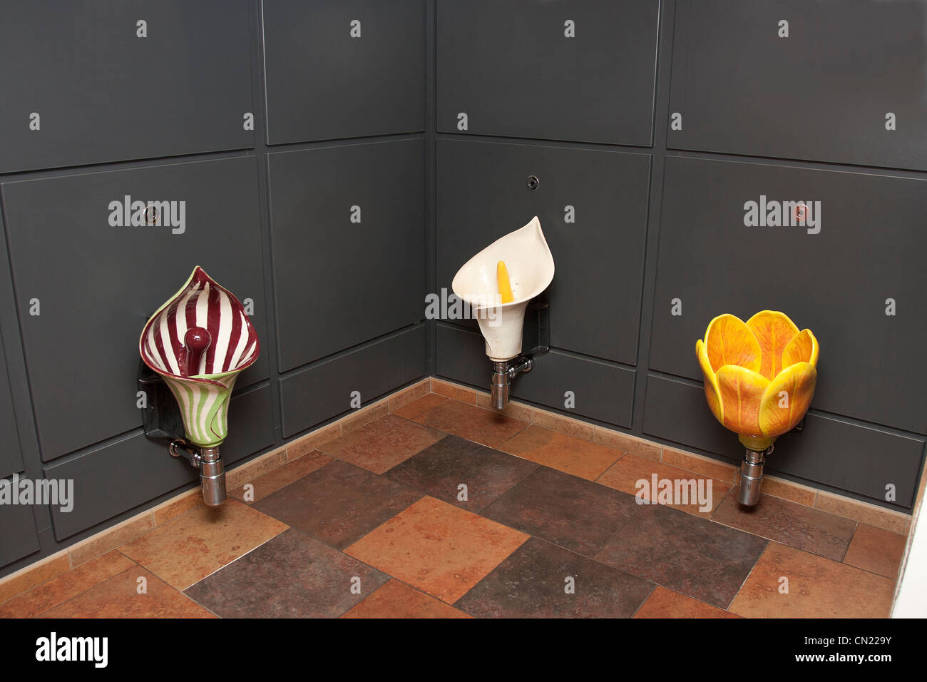 Three Fancy & Exotic Funny Urinals Decorated Gentlemens Loo Guys Toilets  and Sexy Urinal Stock Photo - Alamy
