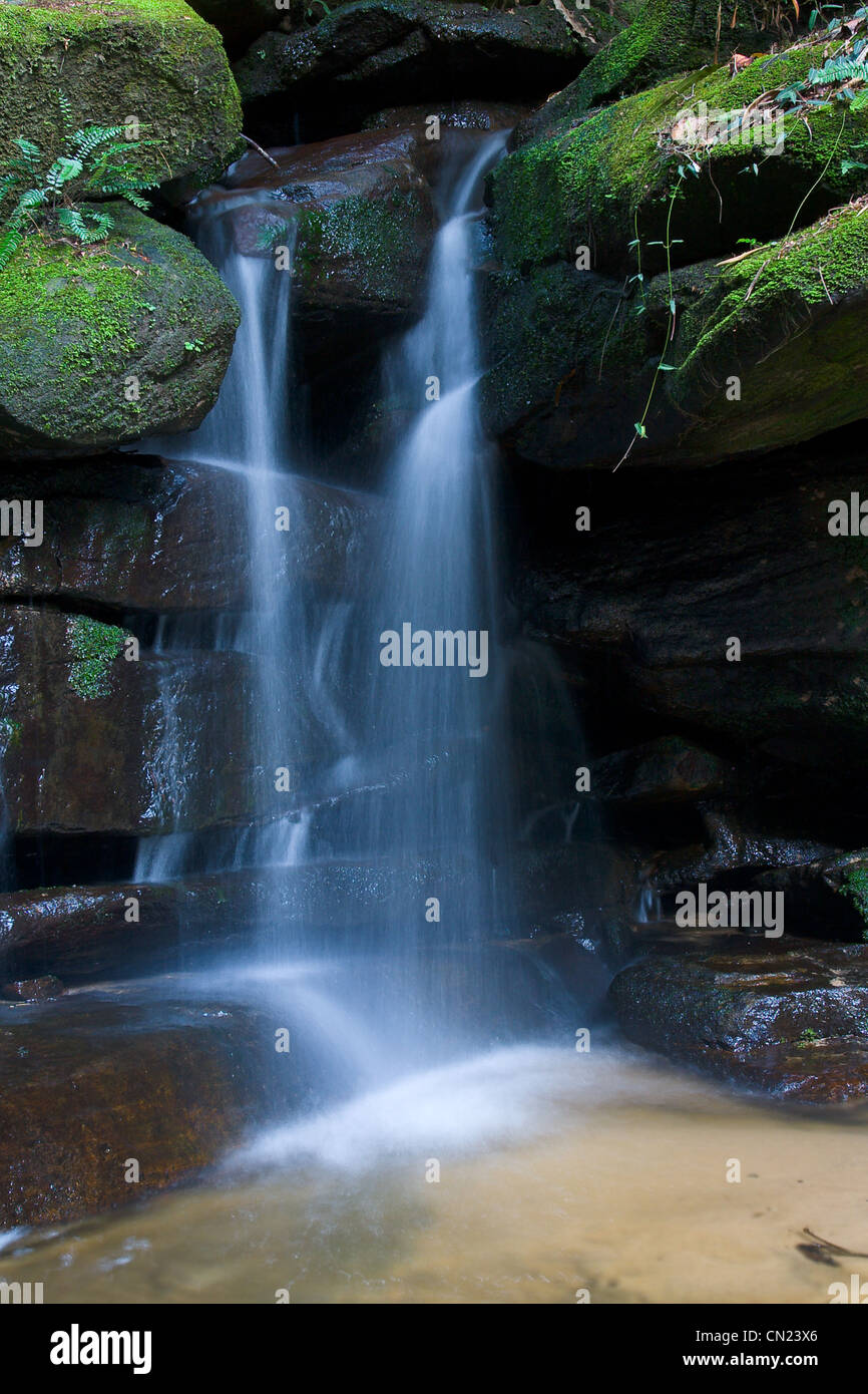 Jerusalem Creek Falls, Barrington Tops, NSW Stock Photo Alamy