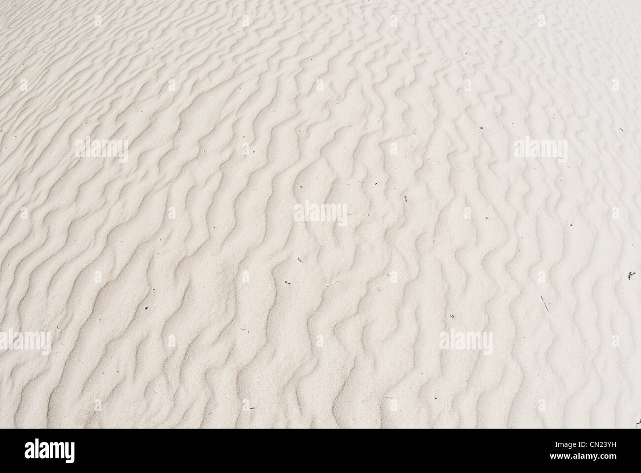 Rippled sand Stock Photo