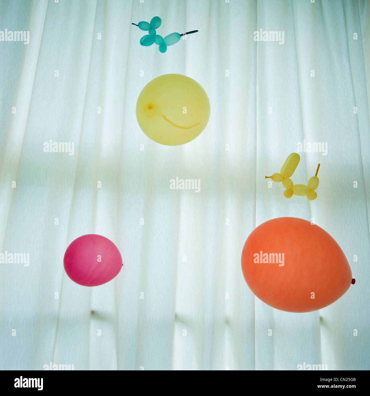 Colourful balloons against white curtain Stock Photo