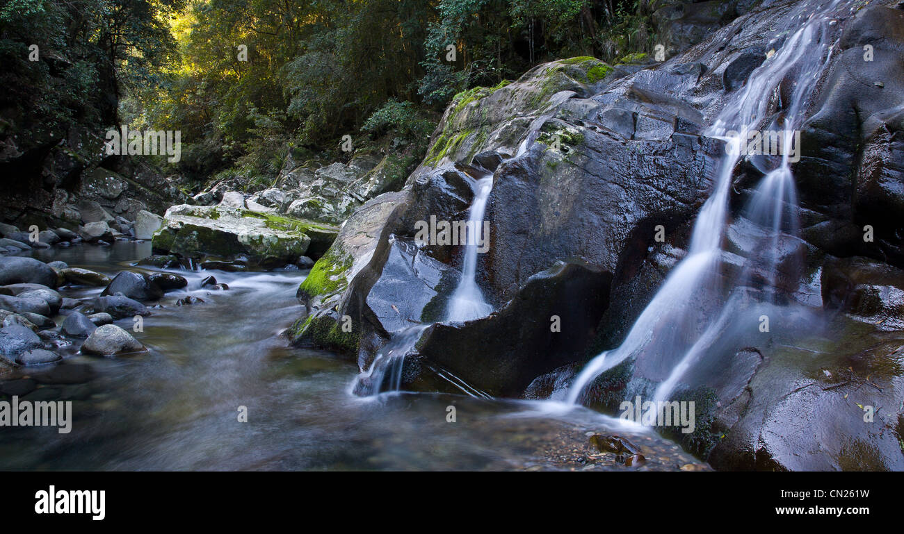 Williams River, Barrington Tops, NSW Stock Photo Alamy