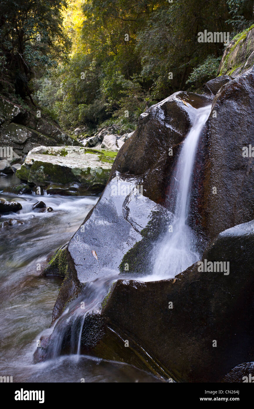 Williams River, Barrington Tops, NSW Stock Photo Alamy