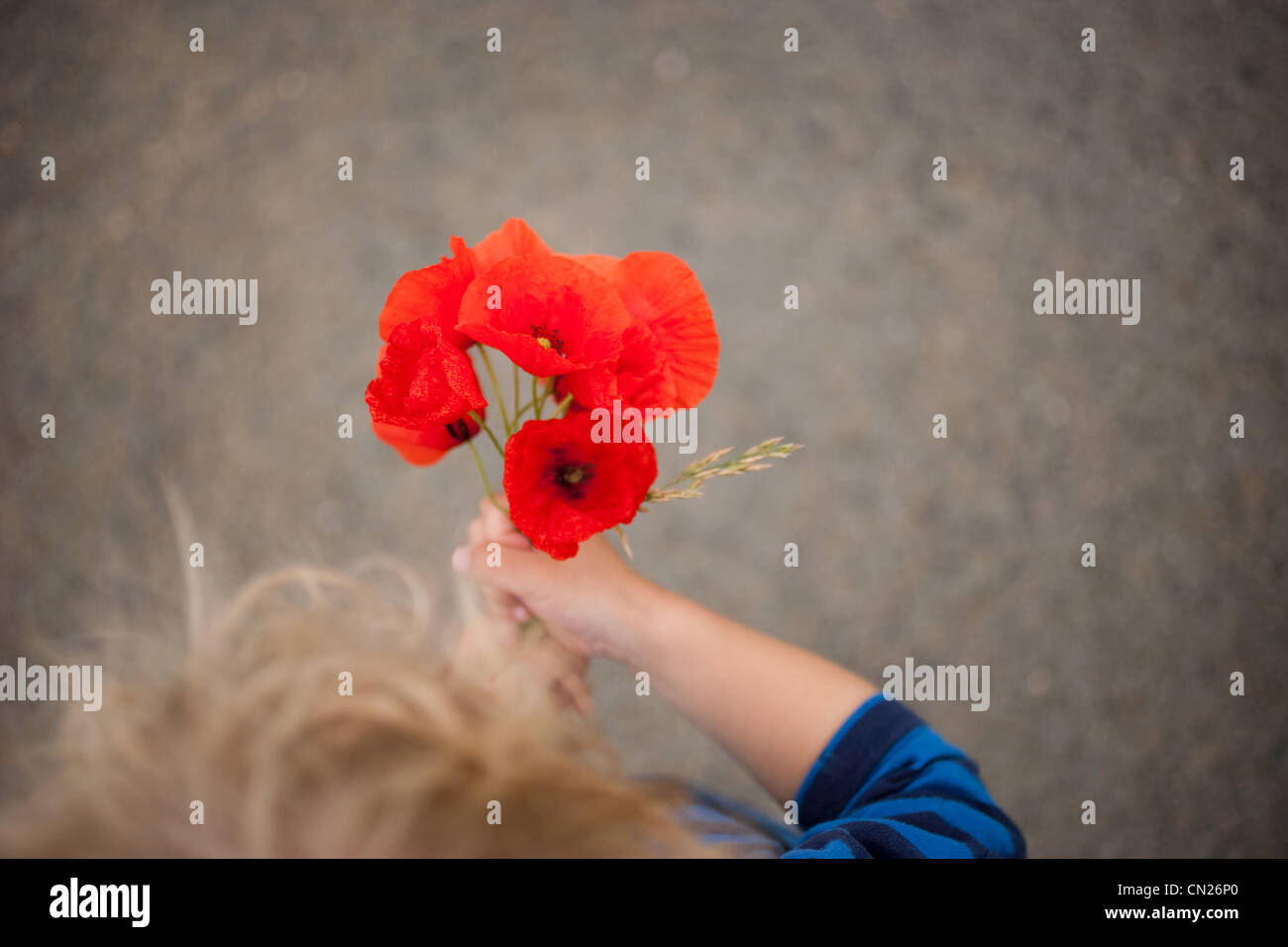 Boy holding poppies Stock Photo - Alamy