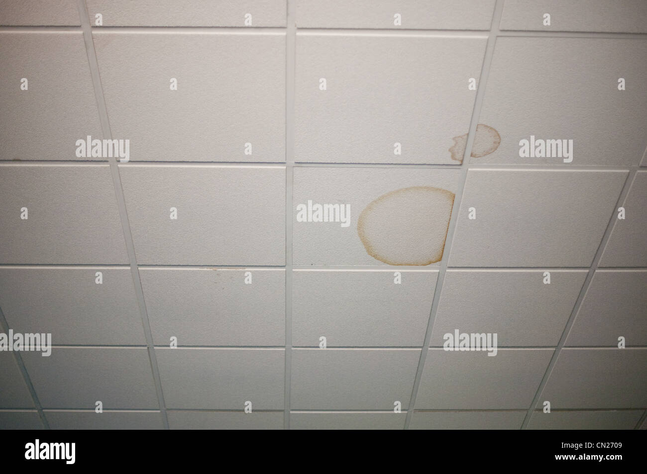 Stained Ceiling Tiles Stock Photo 47377913 Alamy