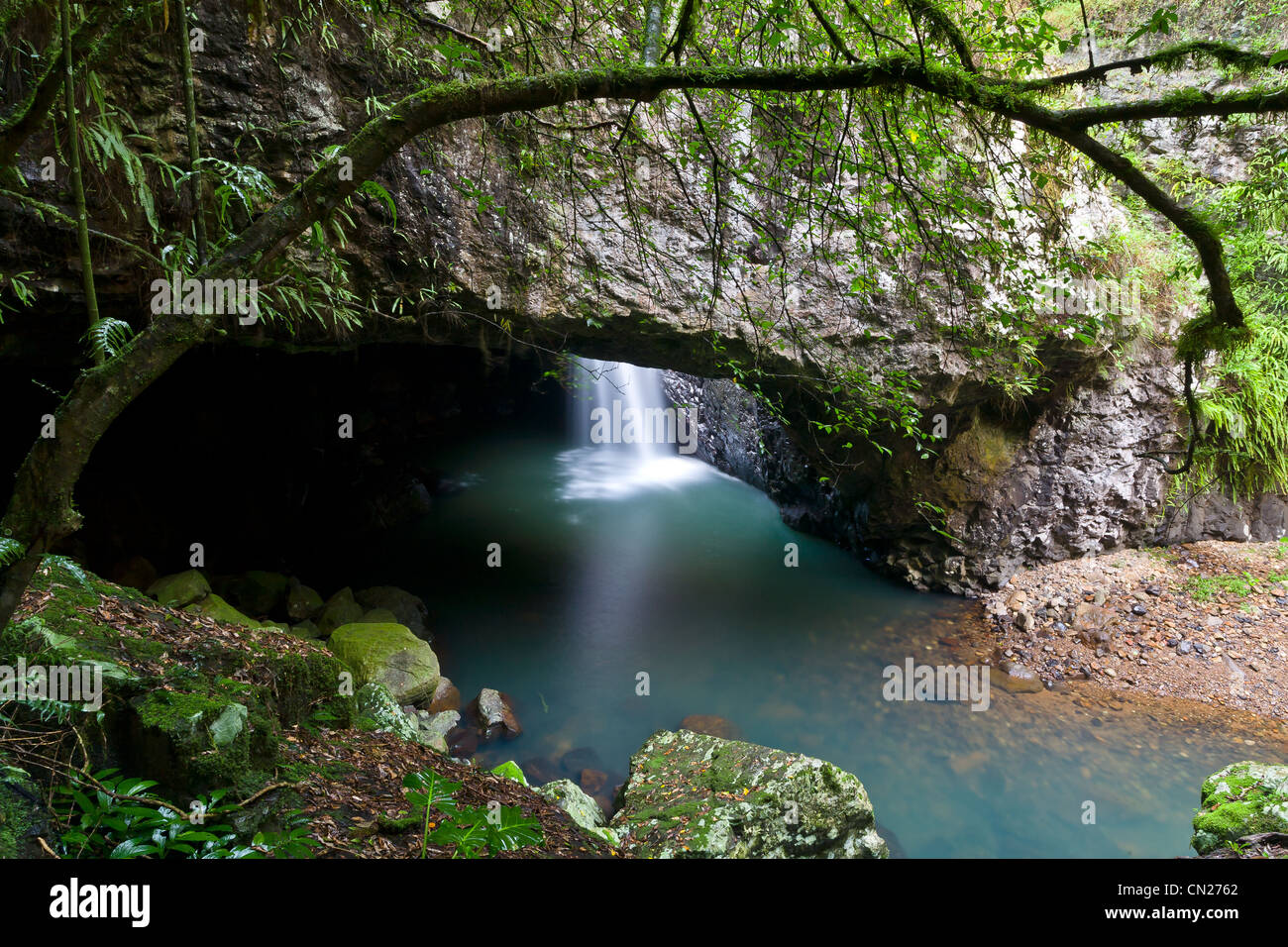 Natural Arch, Springbrook NP, QLD Stock Photo - Alamy