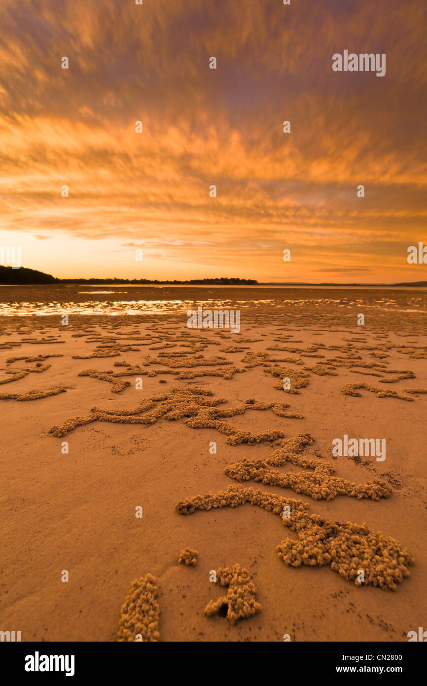 Tanilba Bay, NSW Stock Photo Alamy