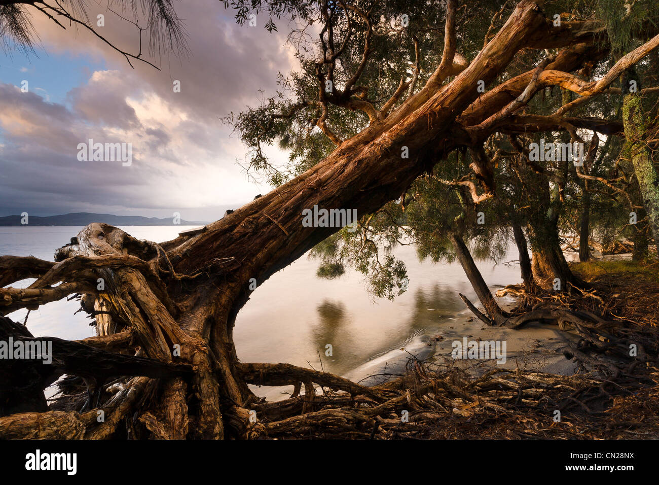 Tanilba Bay, NSW Stock Photo Alamy