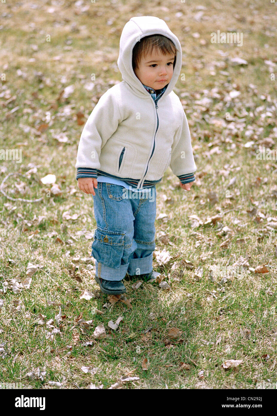Little Boy Walking on Grass, Rene Levesque Park, Montreal Quebec Stock Photo