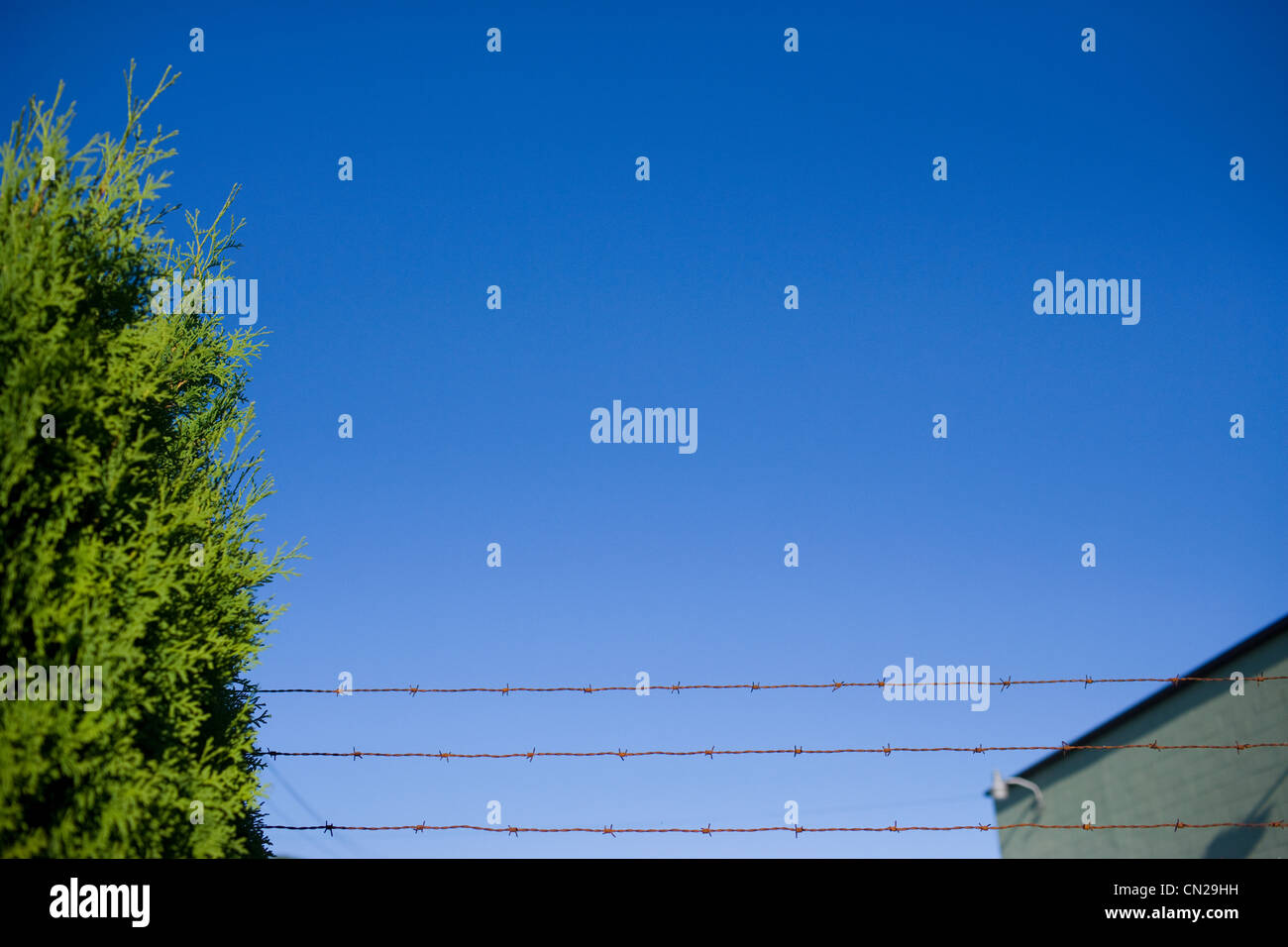 Barbed wire fence against clear blue sky Stock Photo - Alamy