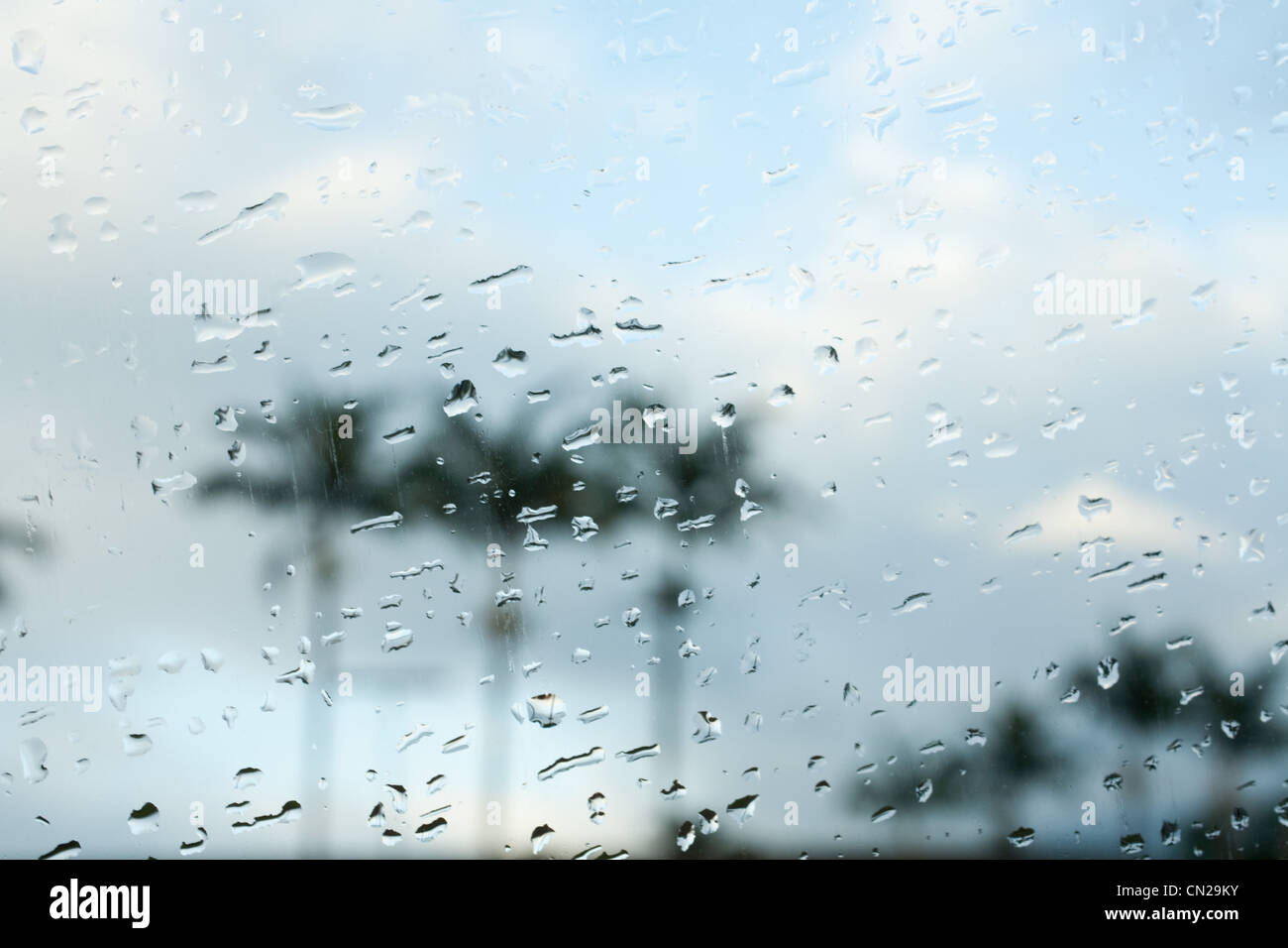 Raindrops on car window Stock Photo