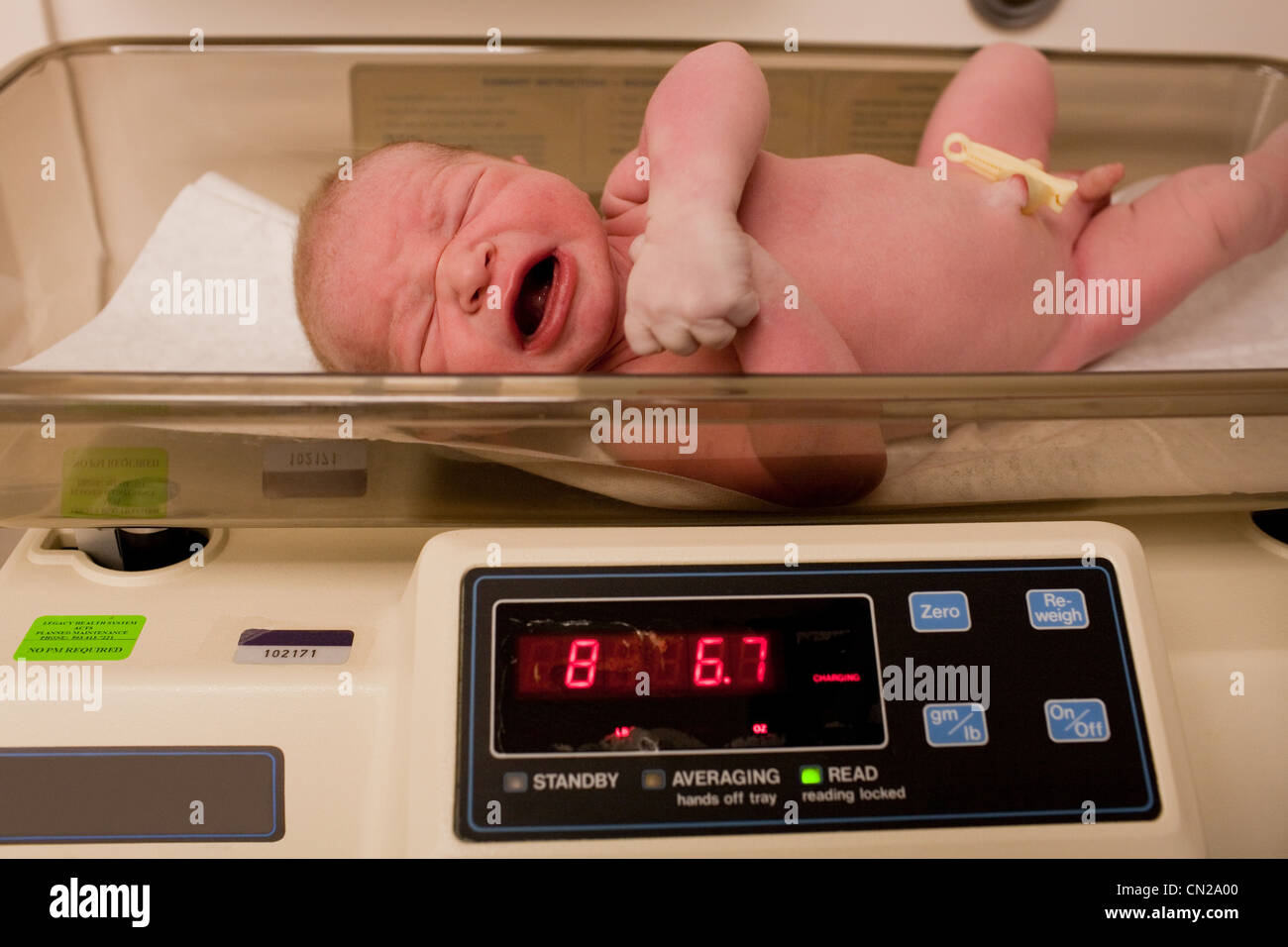 Newborn baby boy on weighing scales Stock Photo Alamy