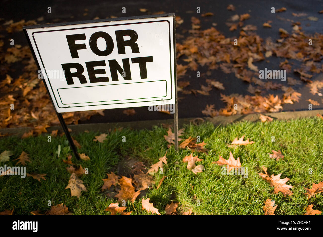 For rent sign on grass Stock Photo