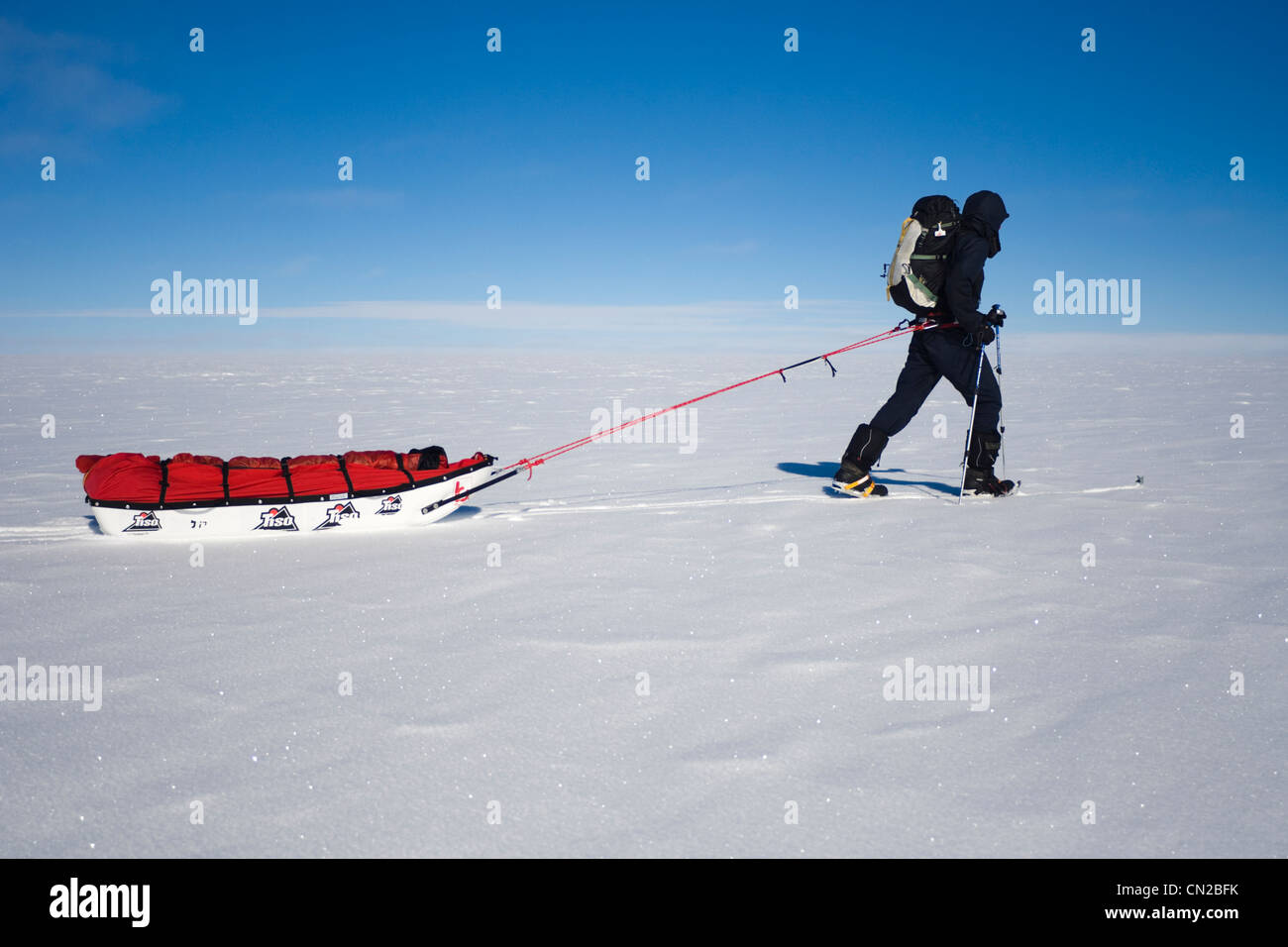 Polar explorer hauling sledge, Greenland - MR Stock Photo