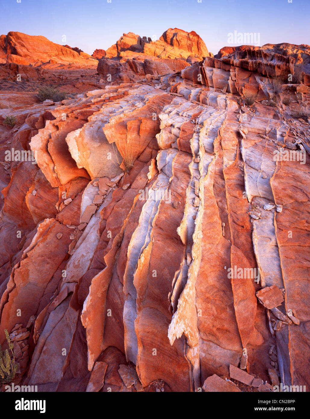 Early morning on sandstone forms in Valley of Fire State Park near