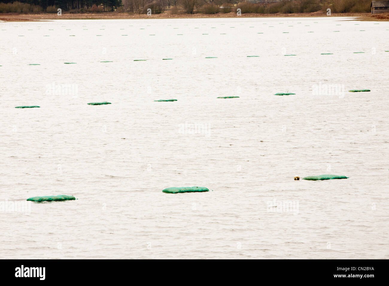 Cropston reservoir loughborough hires stock photography and images Alamy