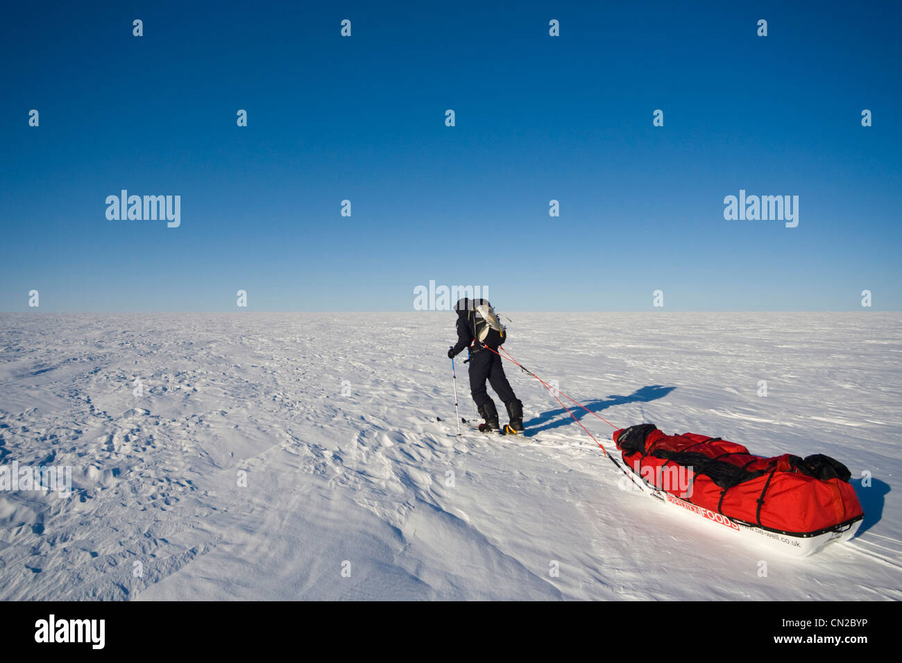 Polar explorer hauling sledge, Greenland Stock Photo