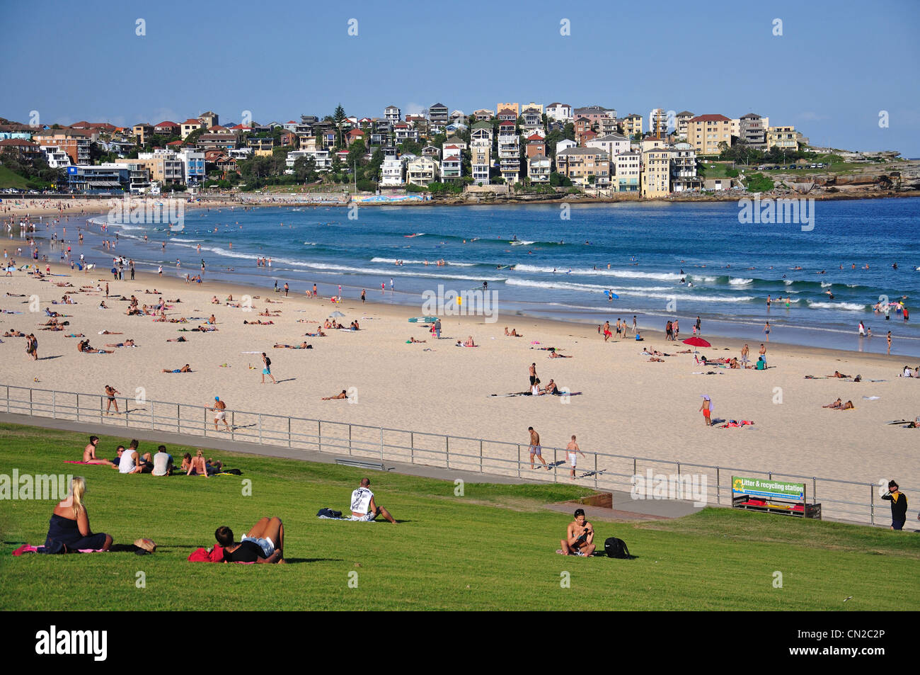 View of park and beach, Bondi Beach, Sydney, New South Wales, Australia Stock Photo