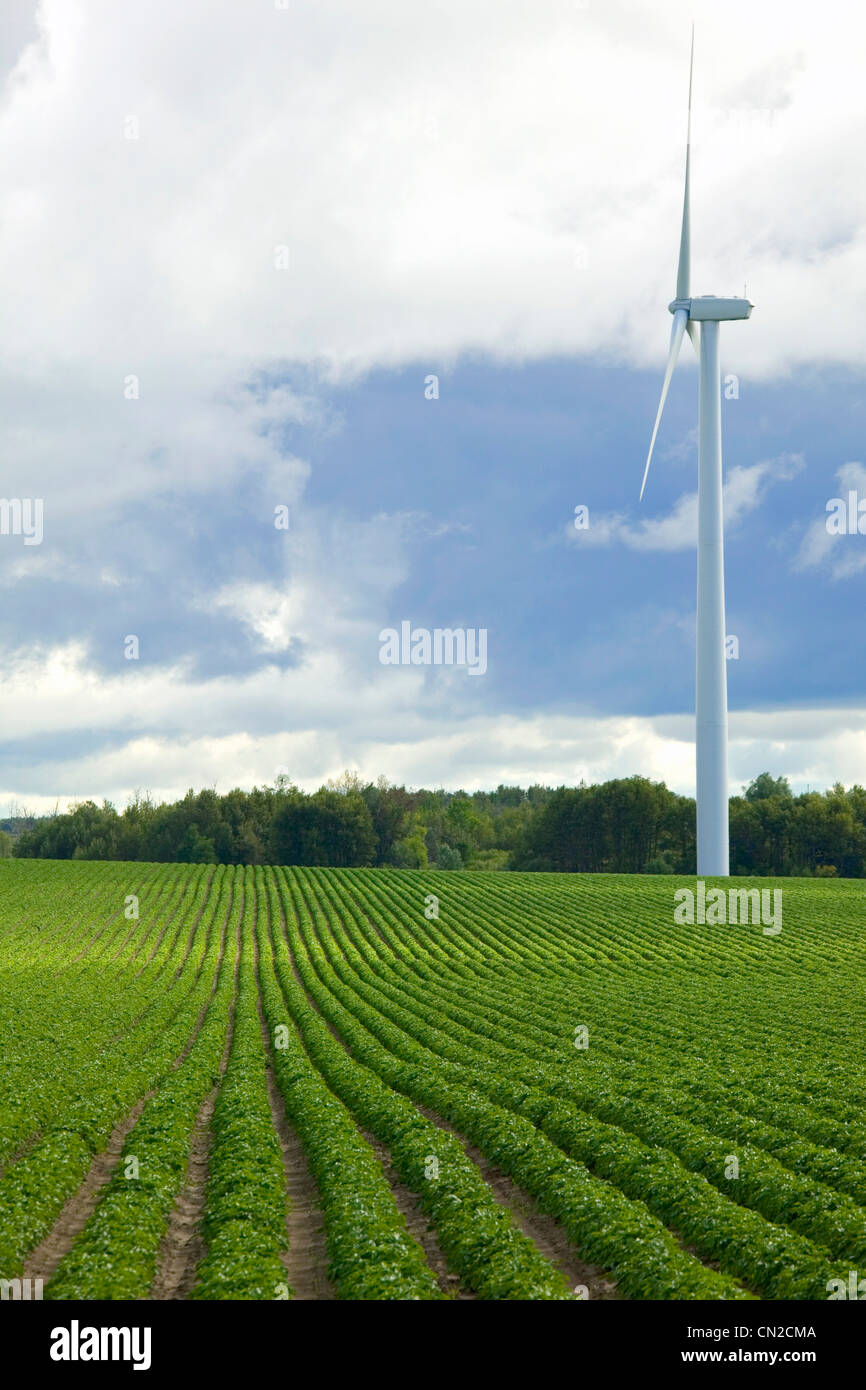 Dundalk ontario hires stock photography and images Alamy