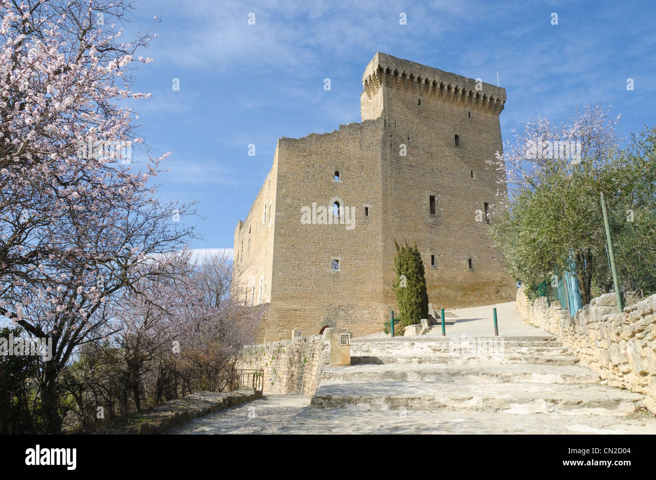 Ruined Castle Of Chateauneuf Du Pape In Provence France Stock Photo Alamy