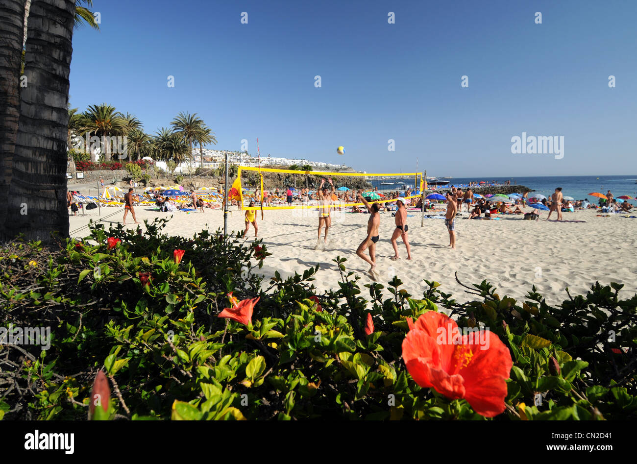 Anfi Del Mar Resort, beach volleyball, Gran Canaria, Canary Islands Stock Photo