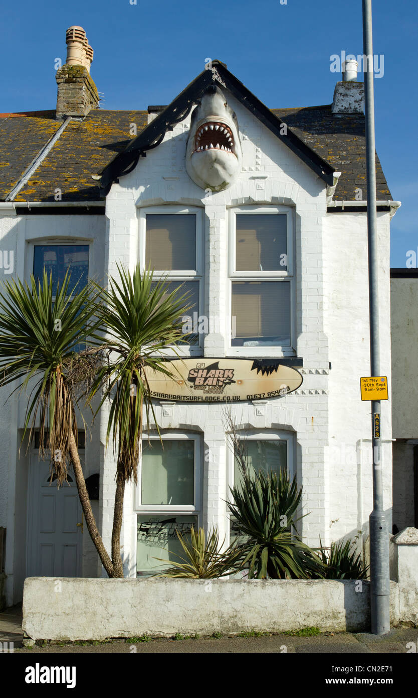 The head of a shark sticks out of Sharkbait Surf Lodge in Newquay, Cornwall UK. Stock Photo