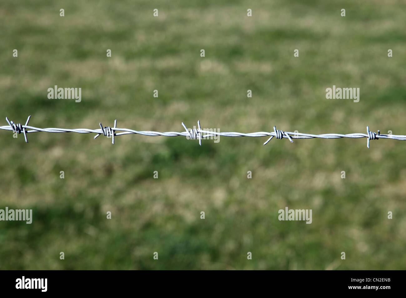Barbed wire fence against grass. Stock Photo